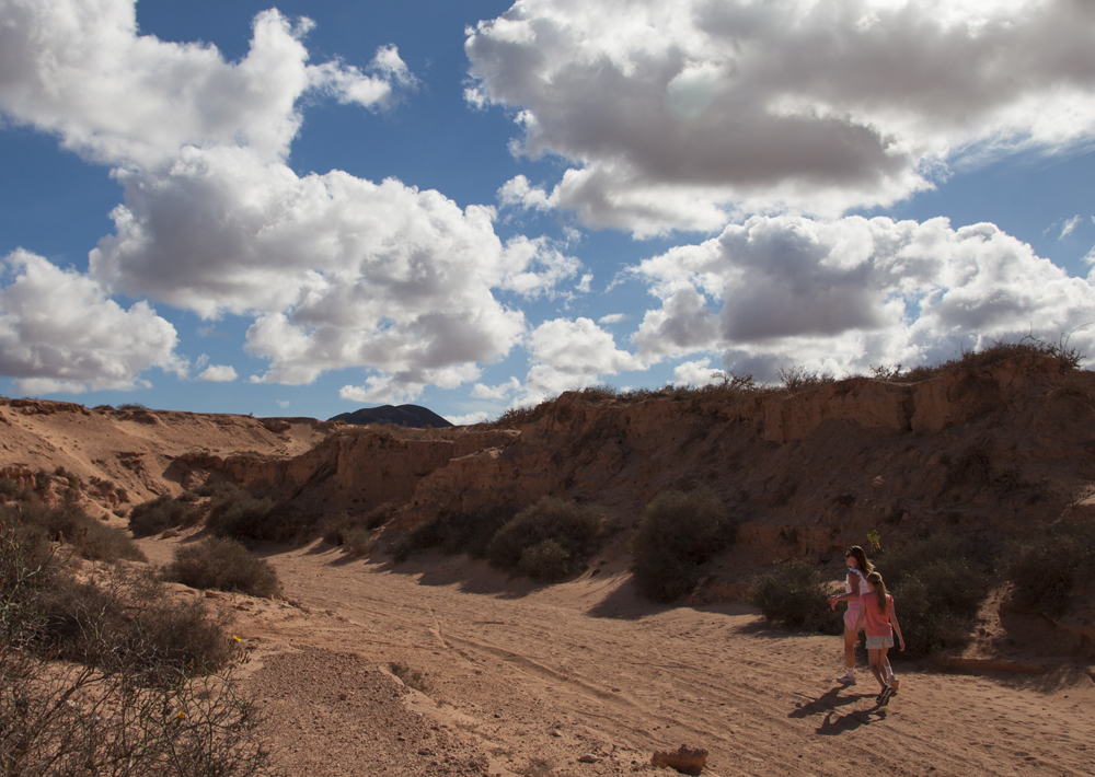 Fuerteventura Canary Islands 